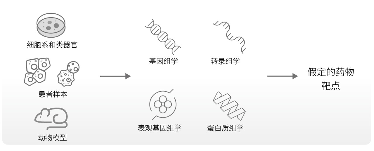 图2：靶点发现-对细胞系和类器官、来源于患者的样本或动物模型进行基于NGS的分析，可以无偏差地鉴定或假定药物靶点。