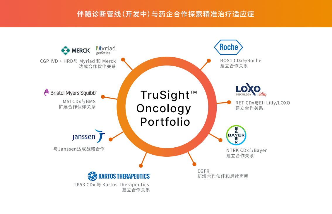 TruSight Oncology 500产品系列