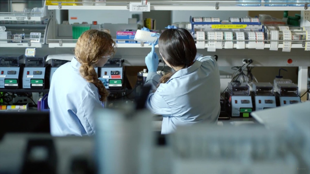 为您提供全新的支持服务